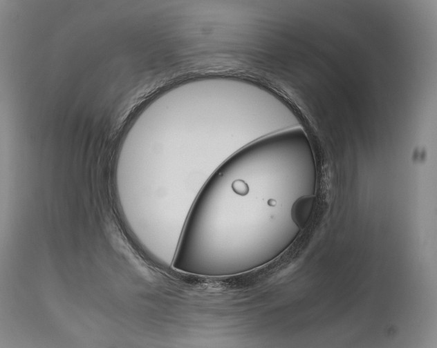 X0000111010589200906191209