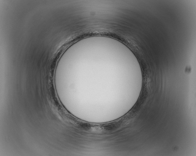 X0000111010591200906191209
