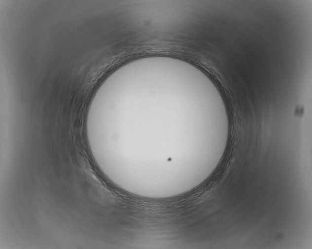 X0000111010593200906191209