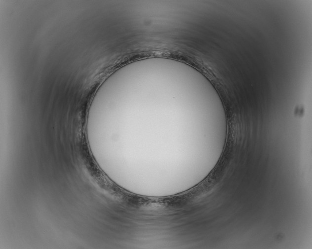 X0000111010594200906191209