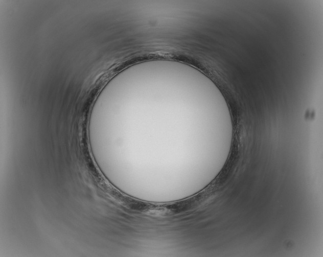 X0000111010595200906191209