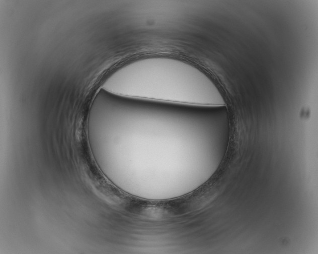 X0000111010596200906191209