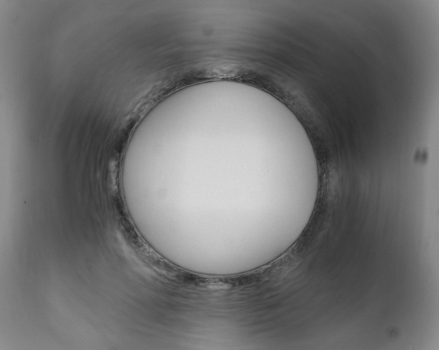 X0000111010598200906191209