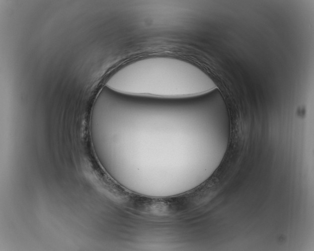 X0000111010600200906191209