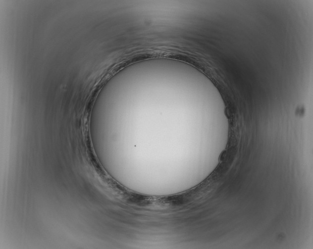 X0000111010601200906191209