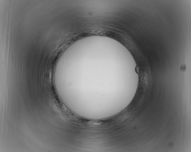 X0000111010602200906191209