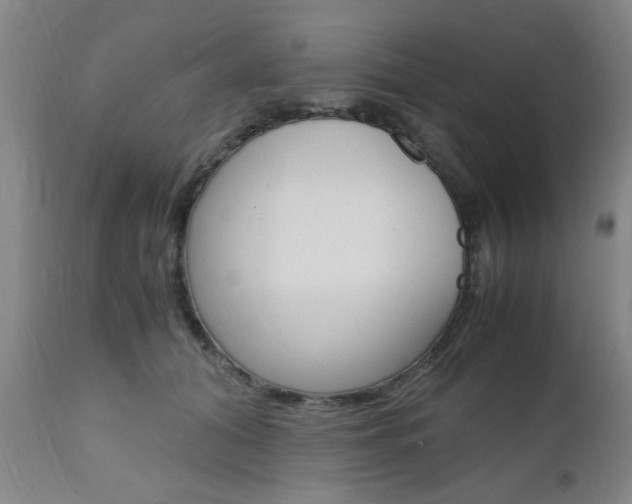 X0000111010608200906191209
