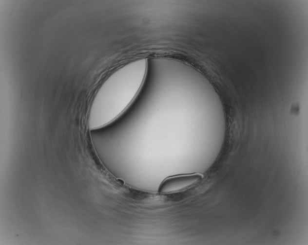 X0000111010609200906191209