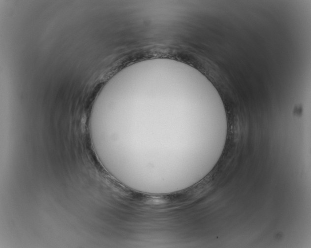 X0000111010610200906191209