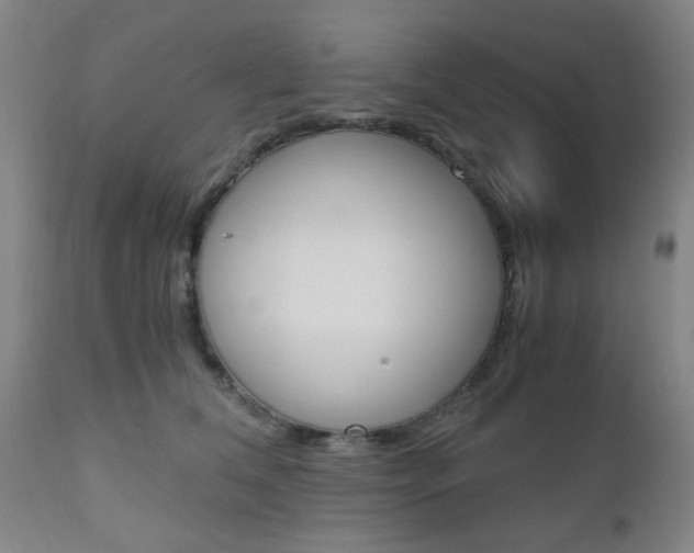 X0000111010612200906191209