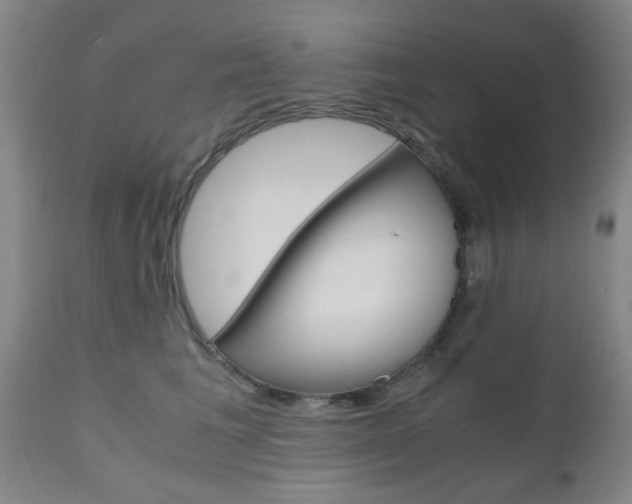 X0000111010613200906191209