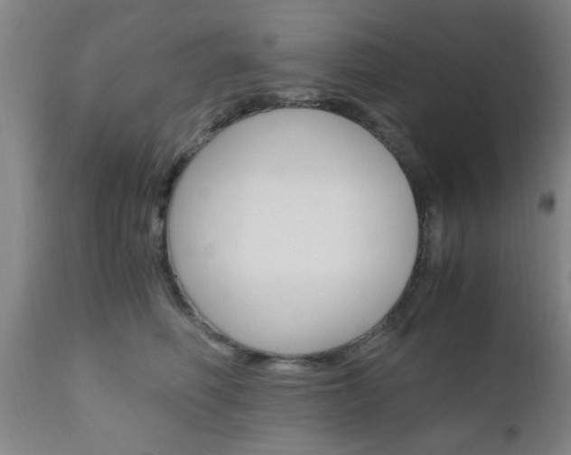 X0000111010614200906191209