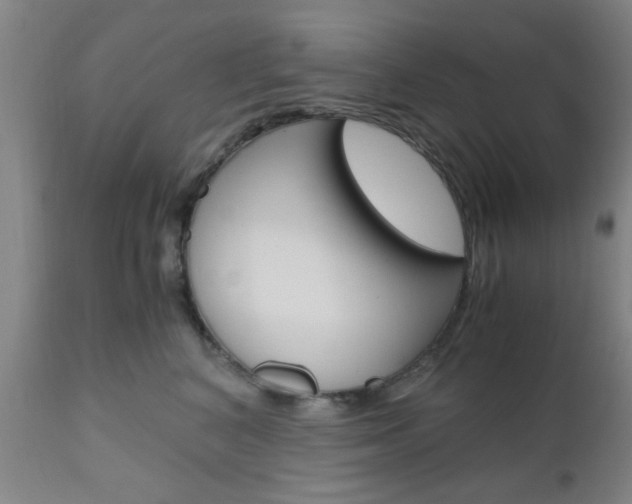 X0000111010616200906191209
