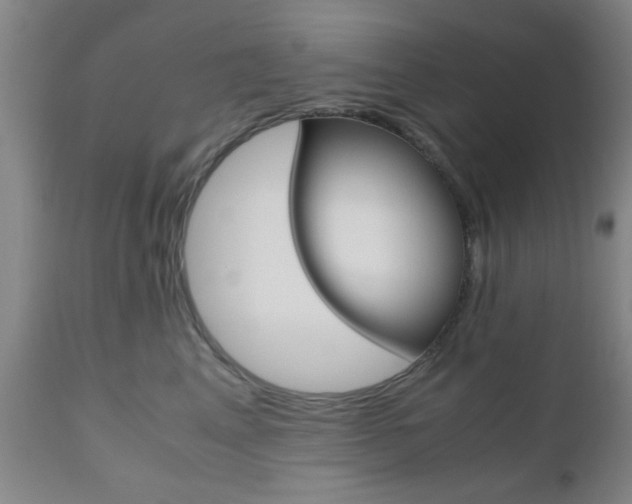 X0000111010617200906191209
