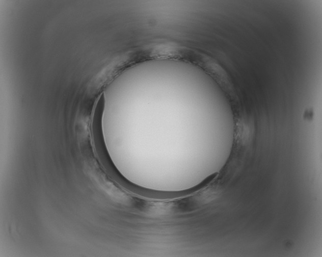 X0000111010621200906191209