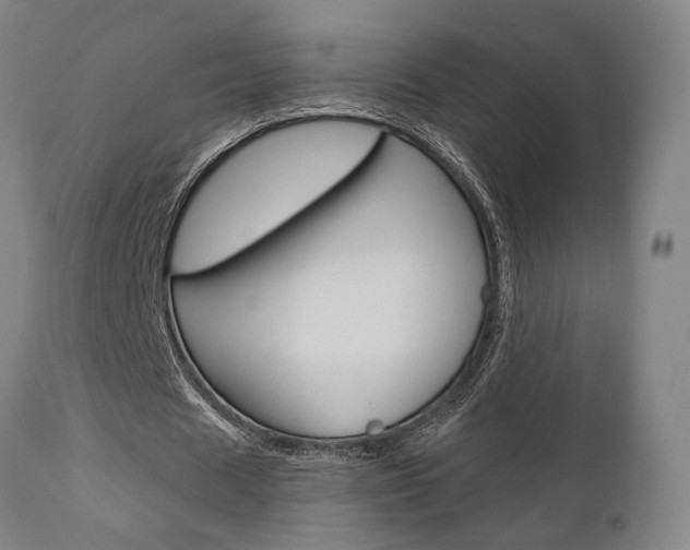 X0000111010625200906191208