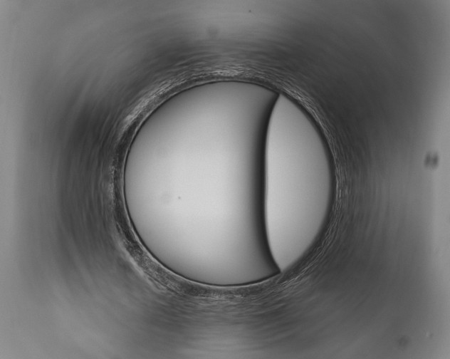X0000111010626200906191208