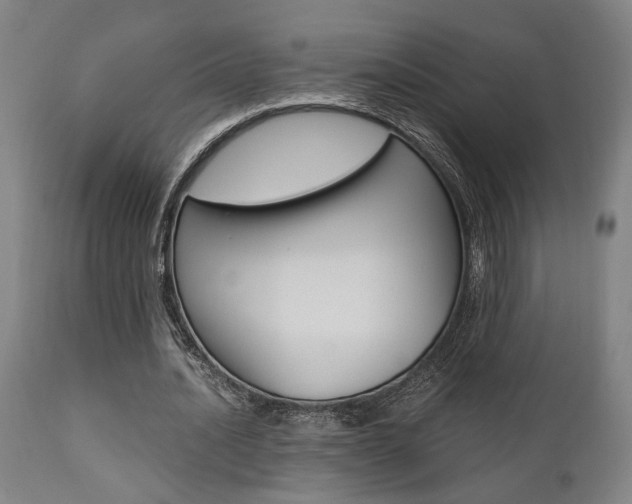 X0000111010628200906191208