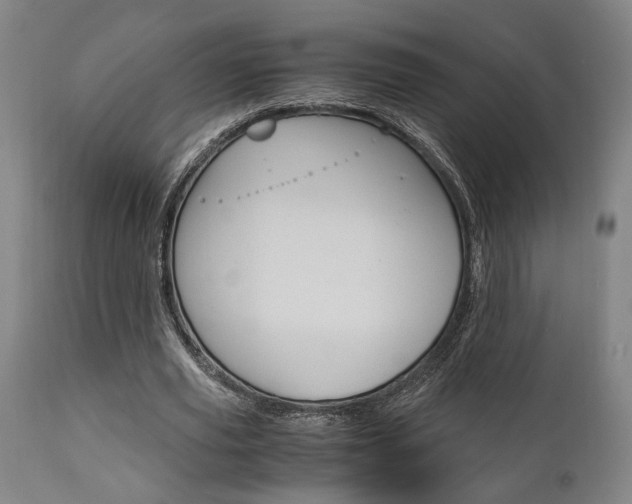 X0000111010629200906191208
