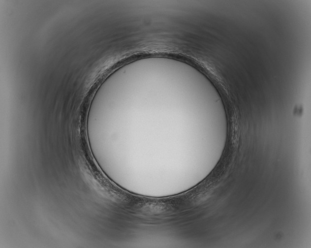 X0000111010631200906191208