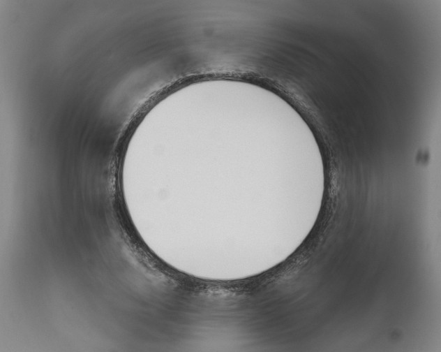 X0000111010632200906191208