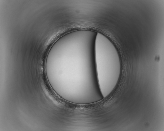 X0000111010634200906191208