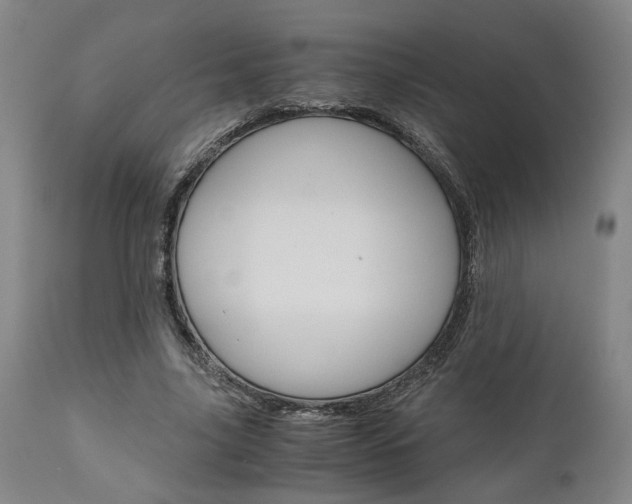 X0000111010635200906191208