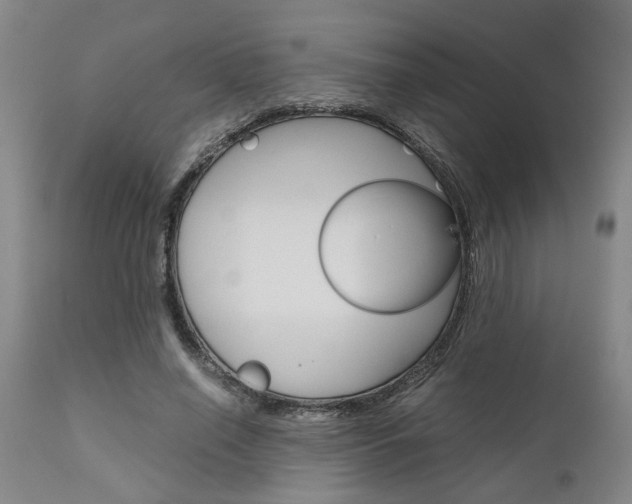 X0000111010638200906191208