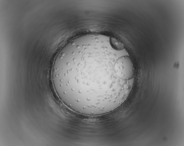 X0000111010639200906191208