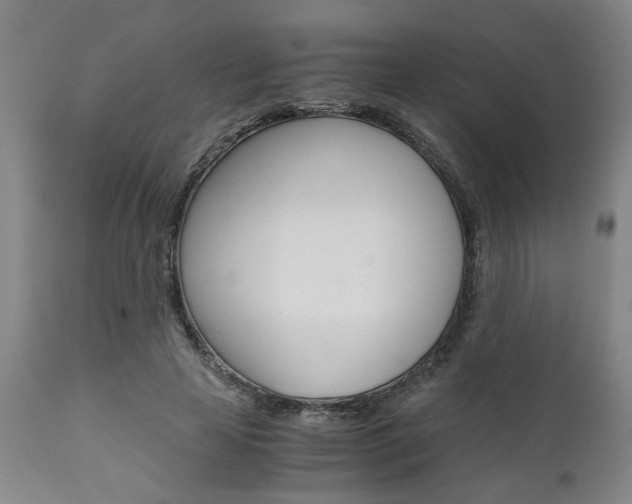 X0000111010641200906191208
