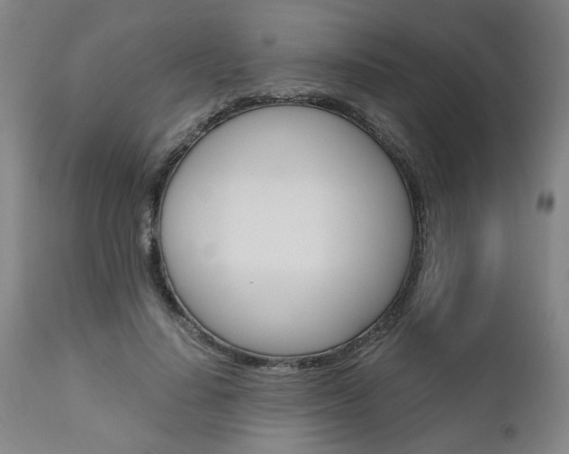 X0000111010644200906191208