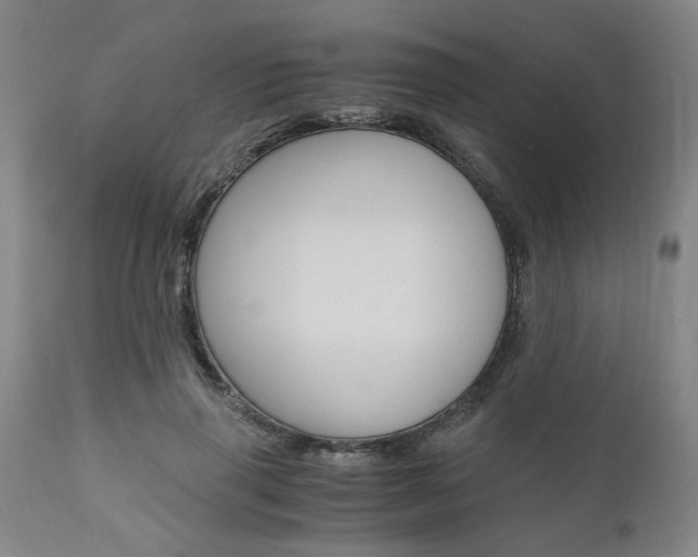 X0000111010645200906191208