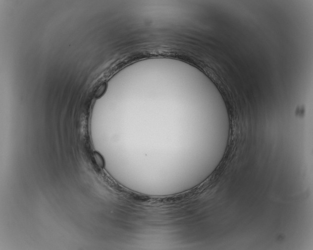 X0000111010648200906191208