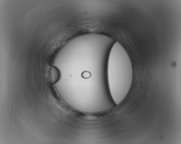 X0000111010650200906191208