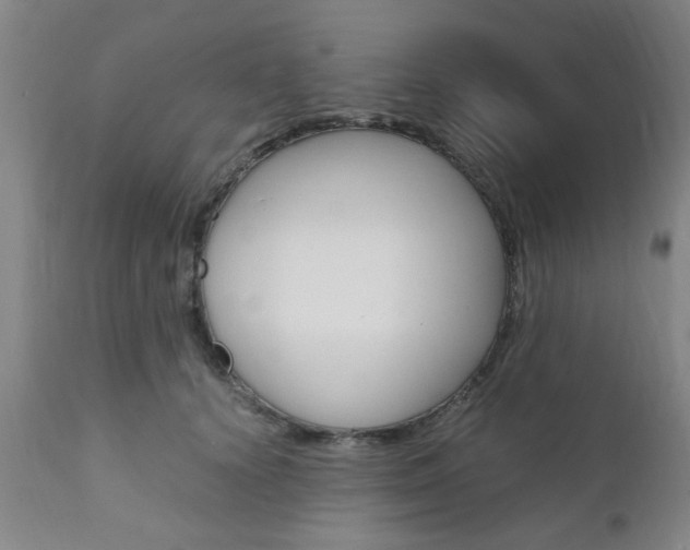 X0000111010656200906191208