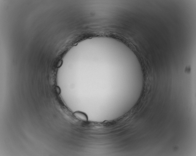 X0000111010658200906191208