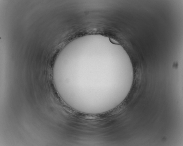 X0000111010659200906191208