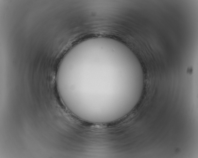 X0000111010660200906191208