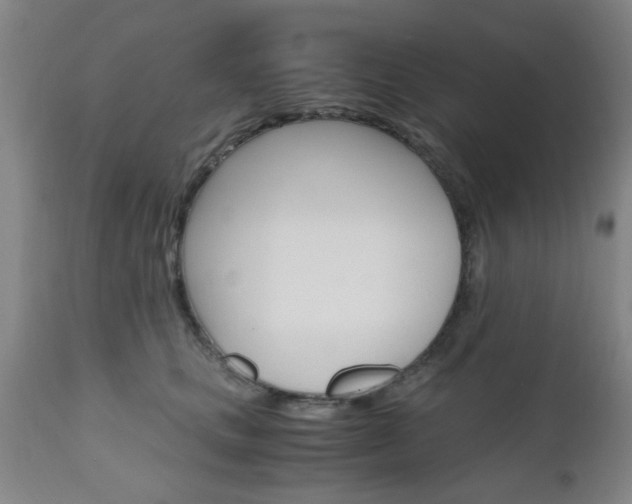 X0000111010661200906191209