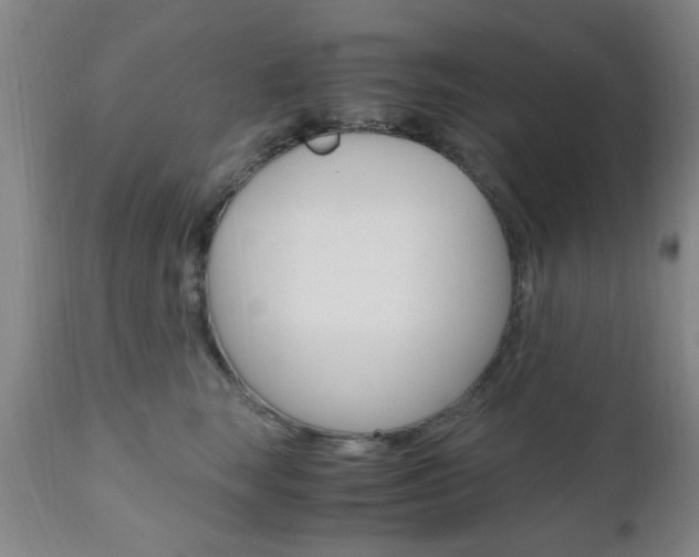 X0000111010663200906191209