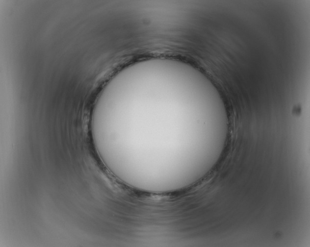 X0000111010664200906191209
