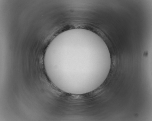 X0000111010667200906191209