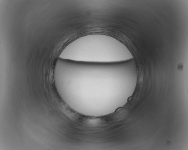 X0000111010669200906191209