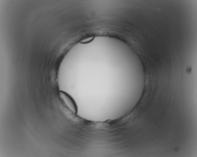 X0000111010670200906191209