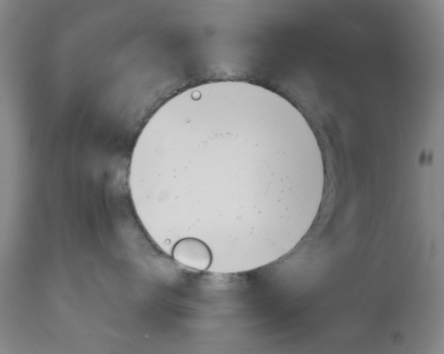 X0000111010672200906191209
