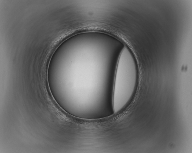 X0000111010673200906191208