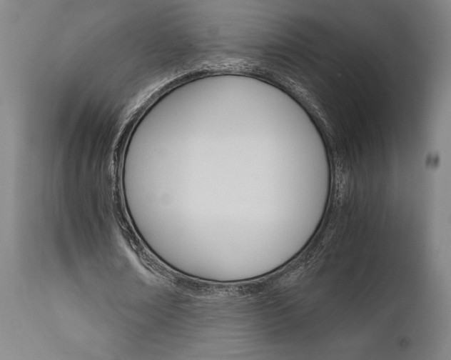 X0000111010674200906191208