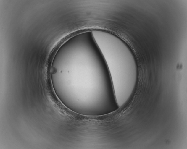 X0000111010676200906191208