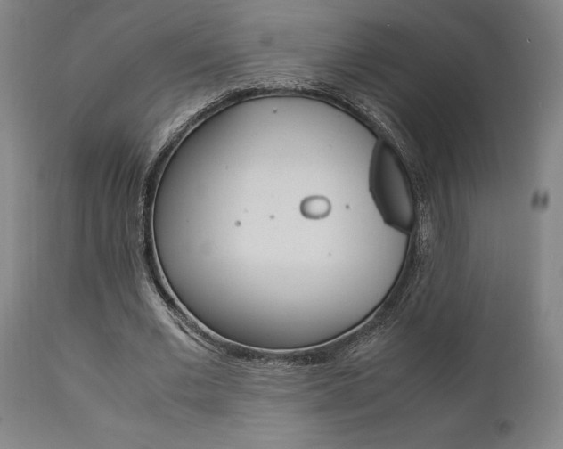 X0000111010677200906191208