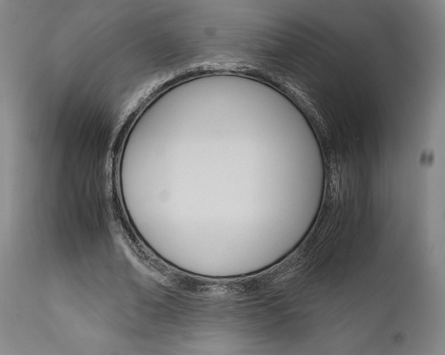 X0000111010678200906191208